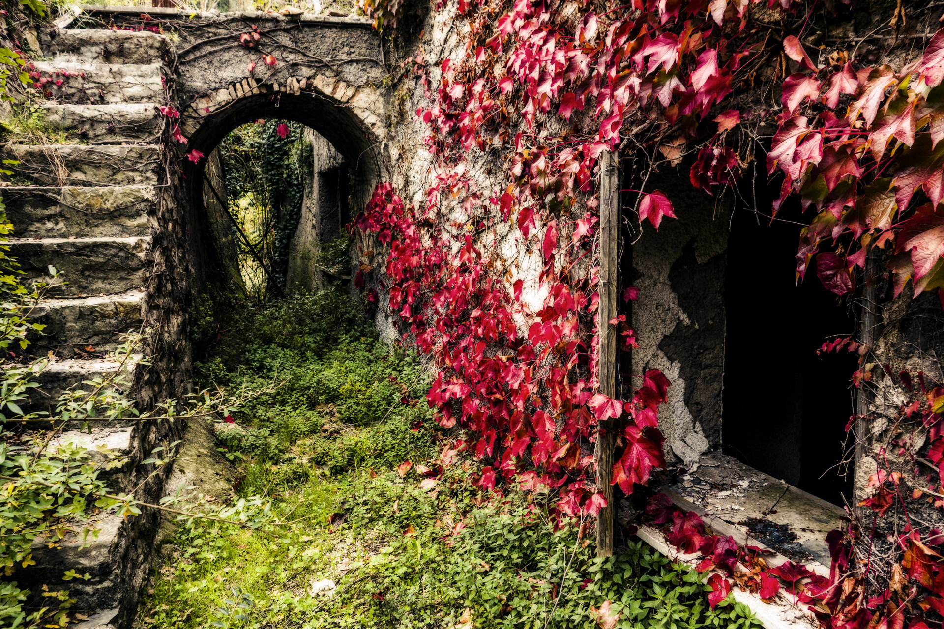 Simone Tagliaferri Photography