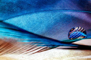 Ashraf Hussein Photography