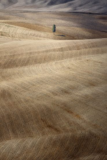 Michele Ricci Photography