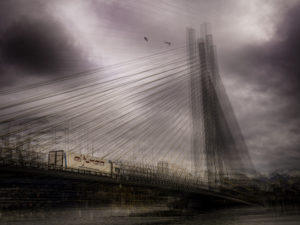 Thomas Vanoost Photography