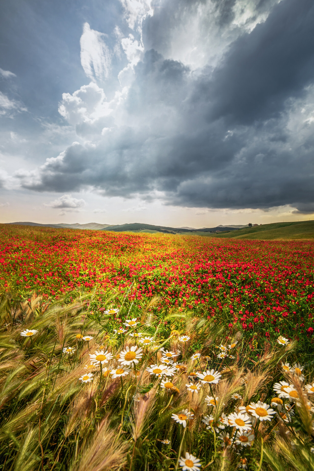 Elena Salvai Photography