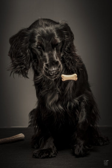 Mirco Toffolo Photography