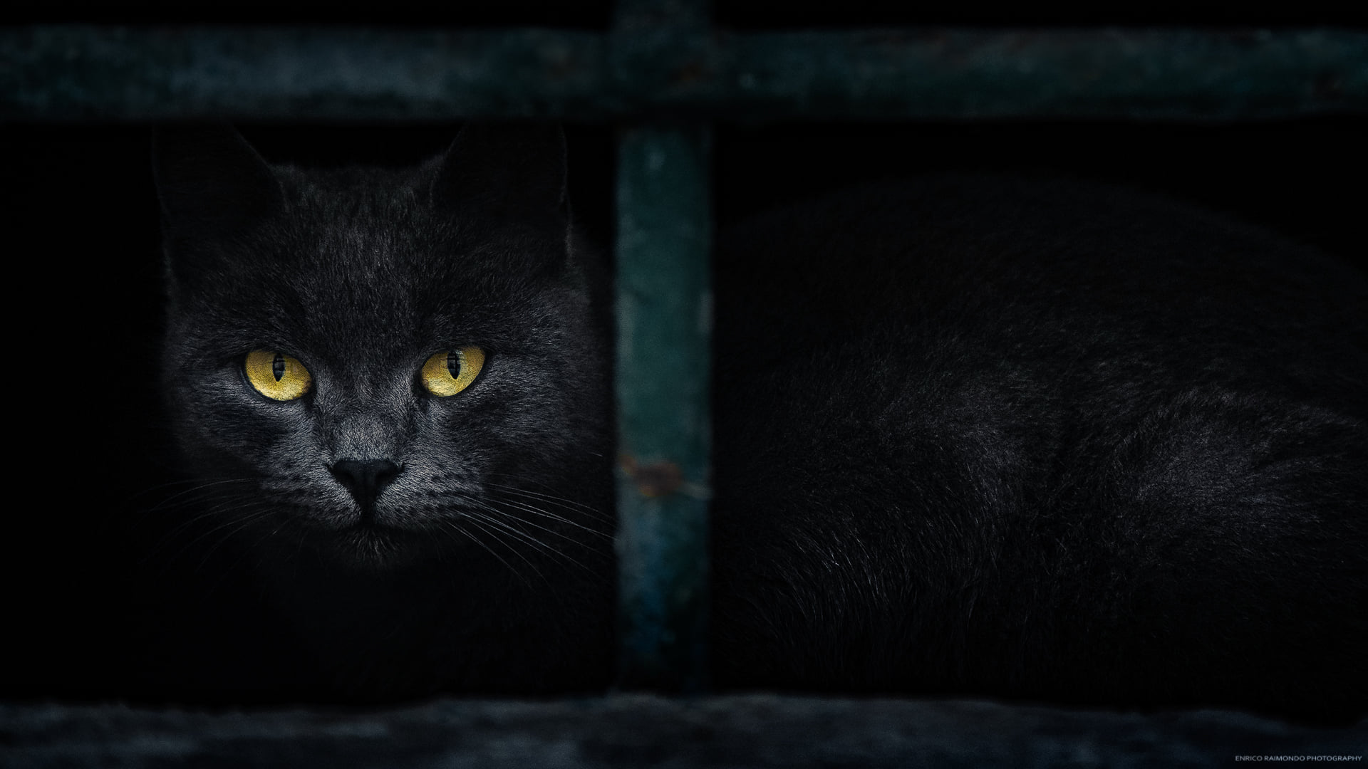 Enrico Raimondo Photography