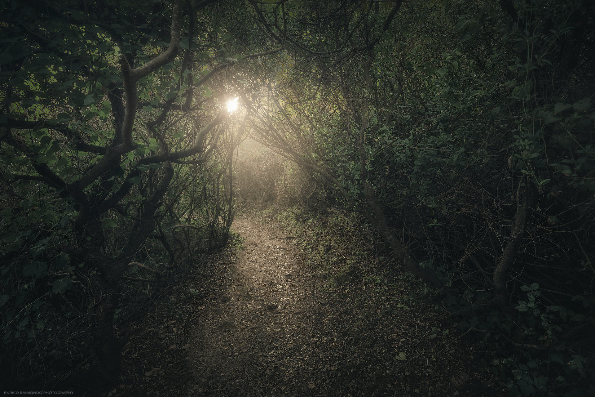 Enrico Raimondo Photography