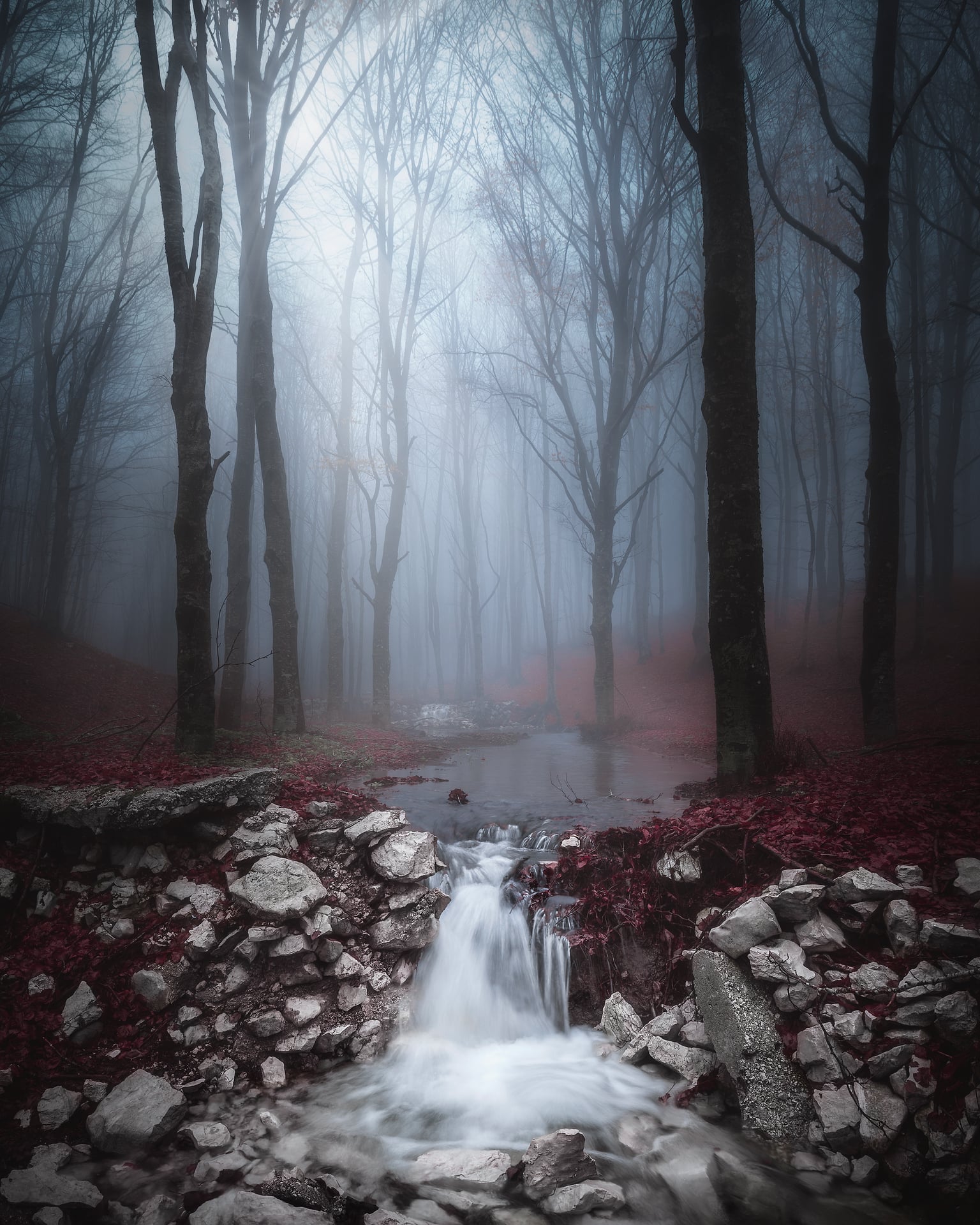 Enrico Raimondo Photography