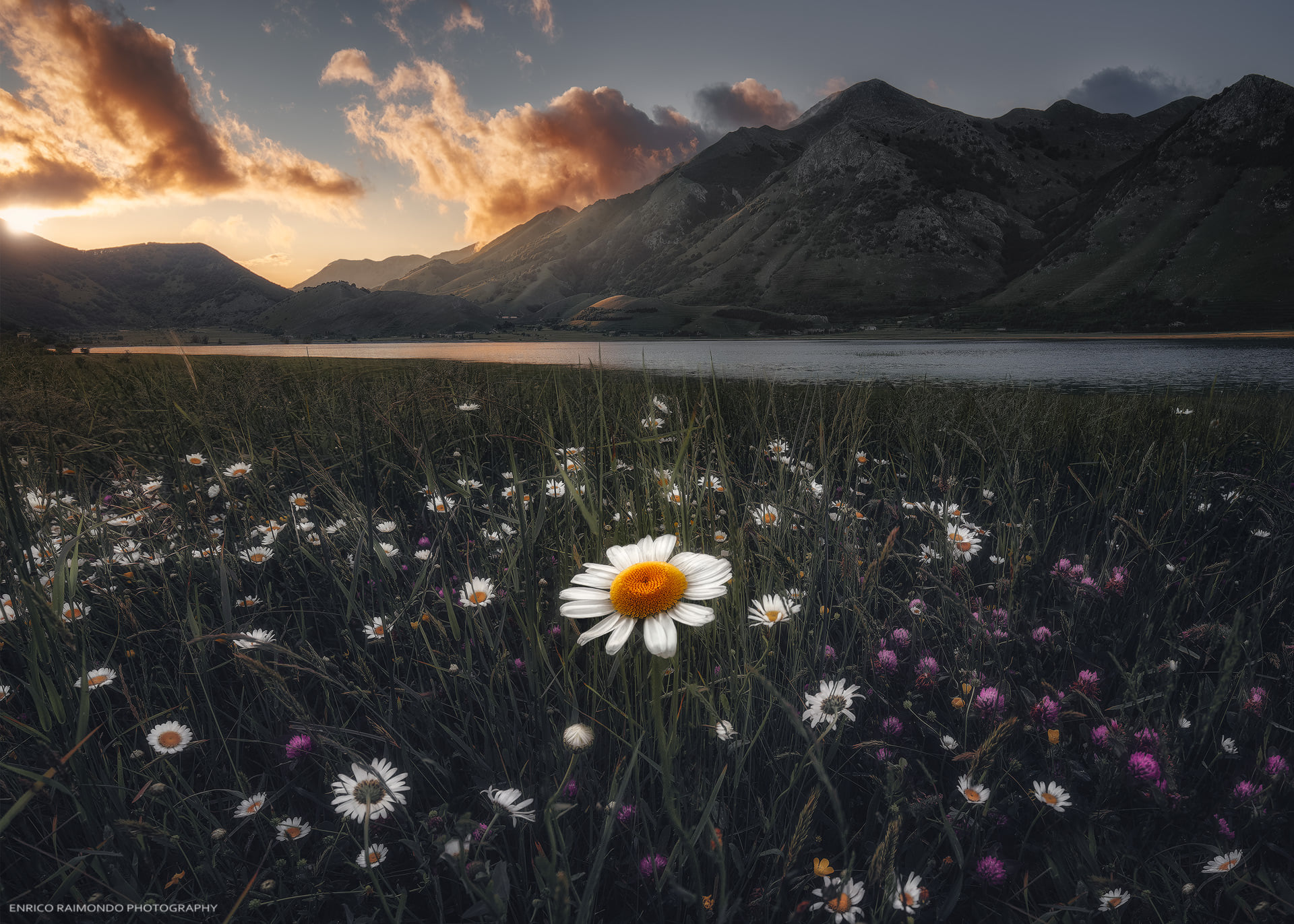 Enrico Raimondo Photography