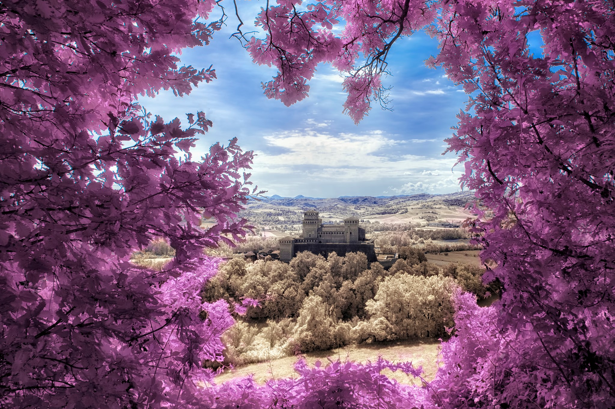 Omar Sospiri Photography