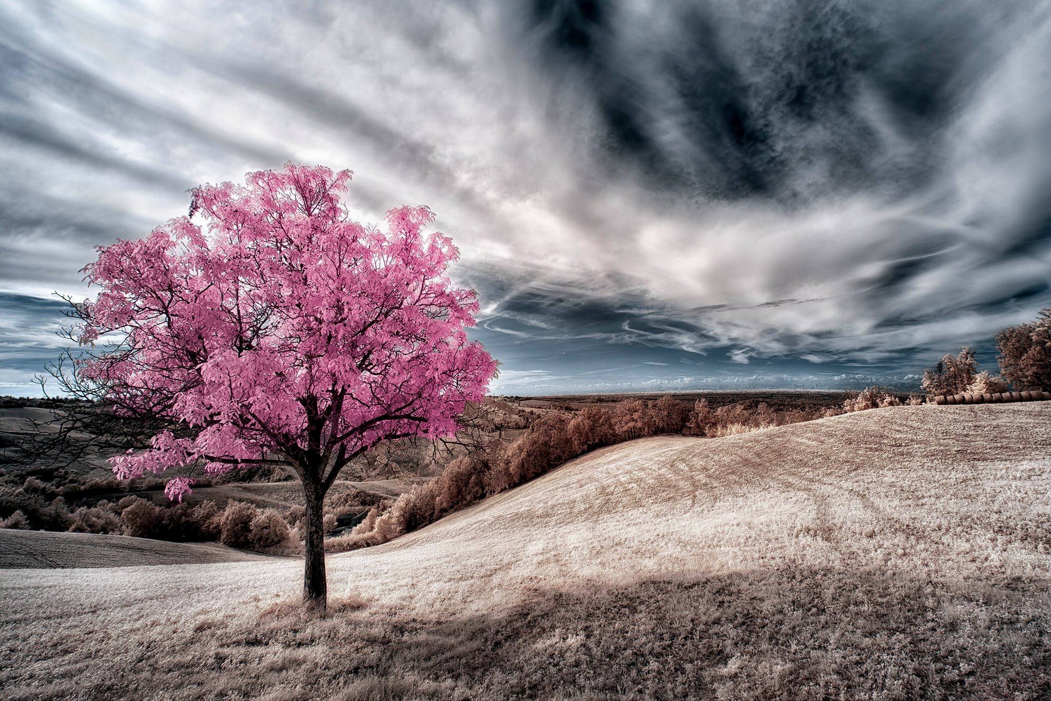 Omar Sospiri Photography