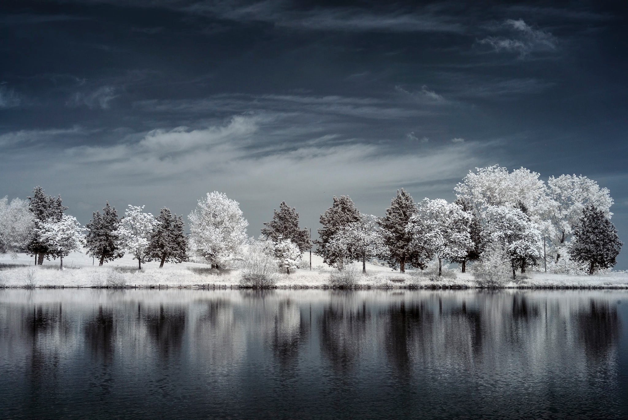 Omar Sospiri Photography