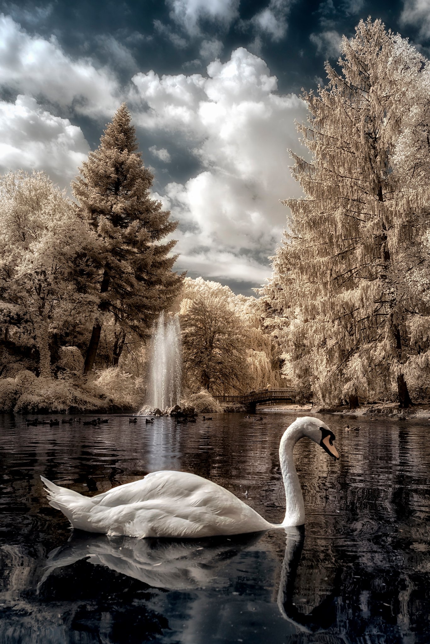 Omar Sospiri Photography