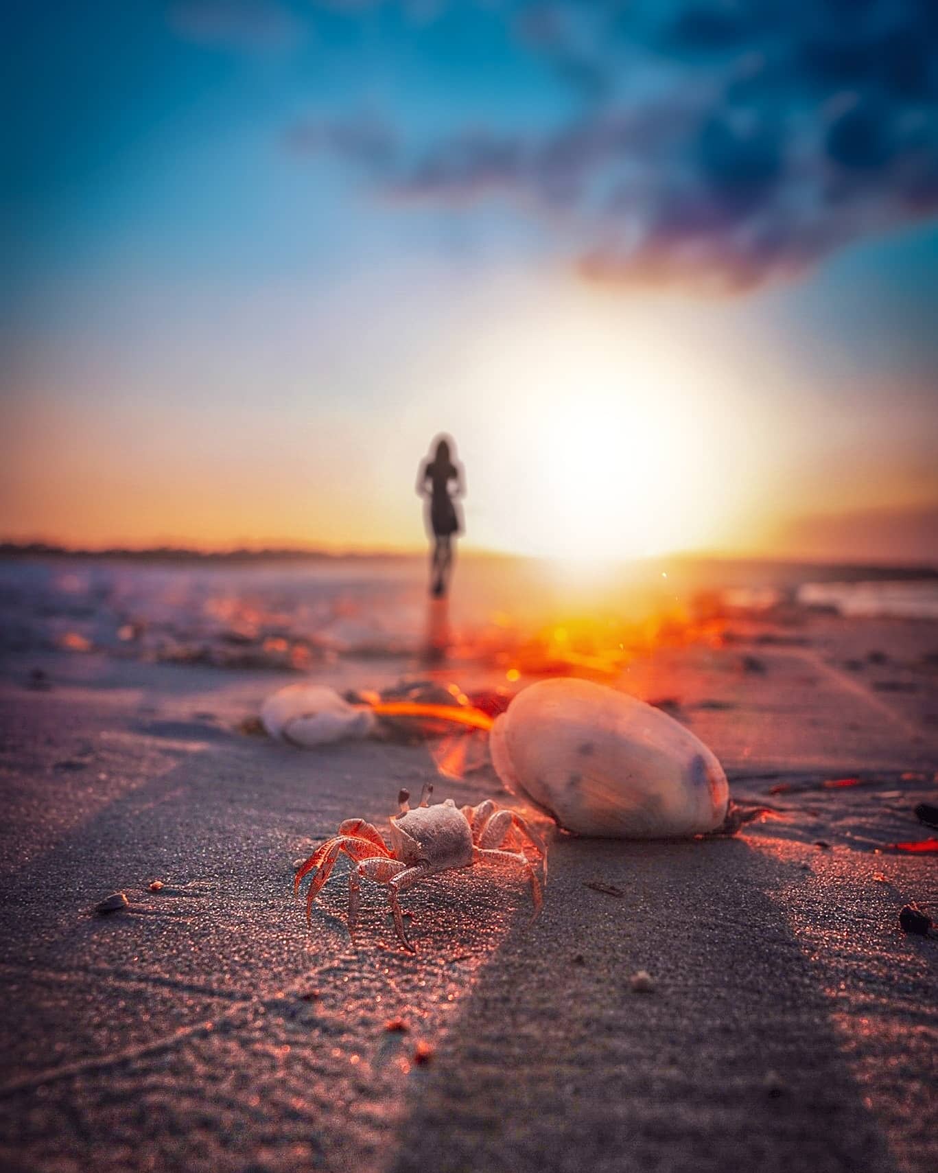 Sebastian Gymsa Photography