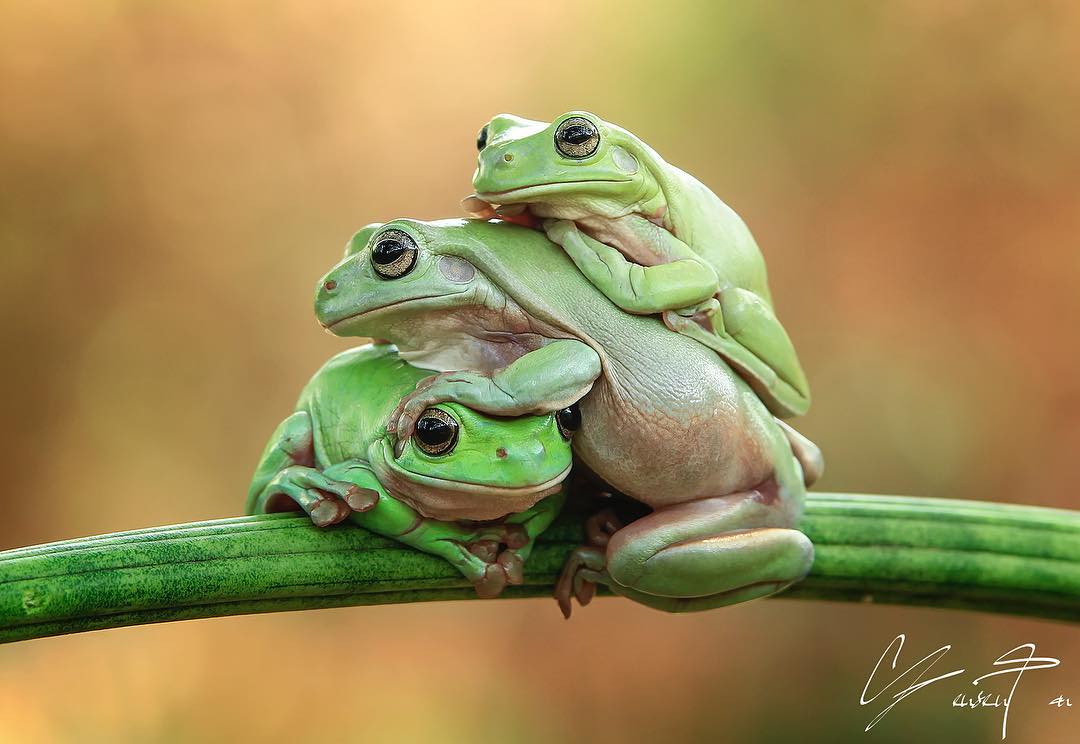 Tanto Yensen Photography