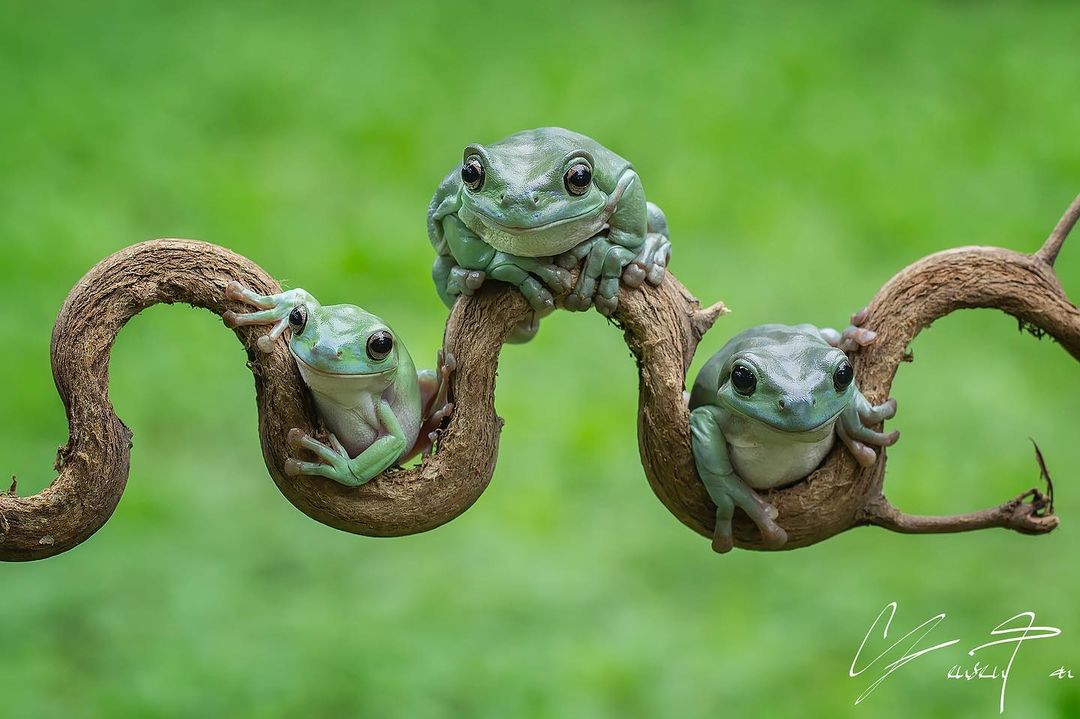 Tanto Yensen Photography