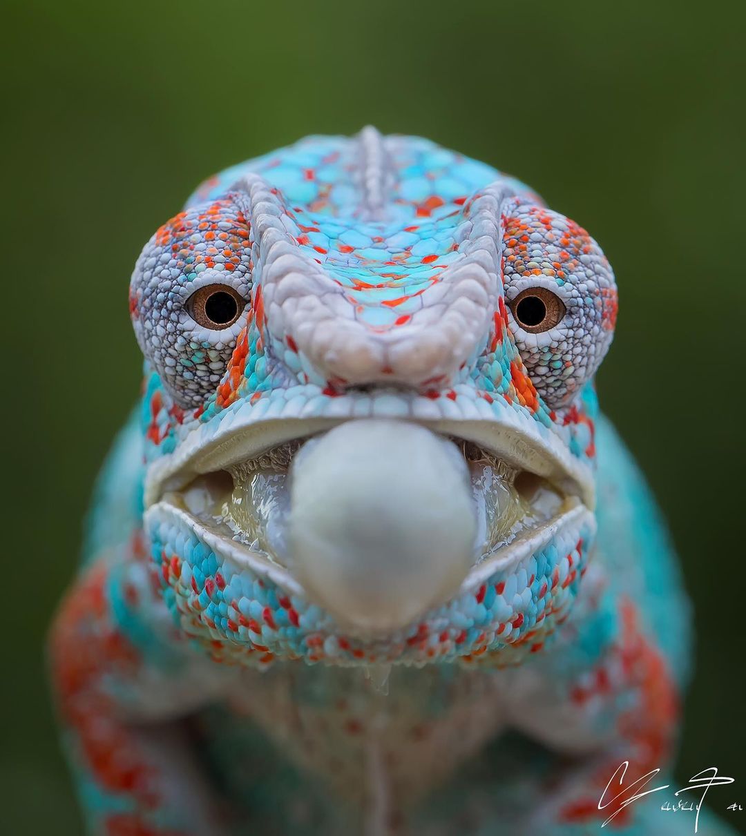 Tanto Yensen Photography